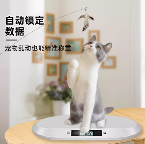 wechat_2025-07-17_115524_000